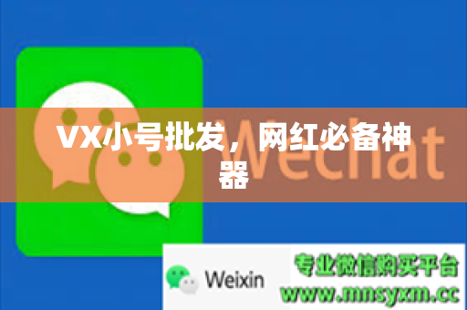 VX小号批发，网红必备神器