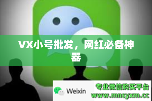 VX小号批发，网红必备神器