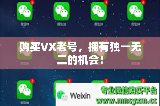 购买VX老号，拥有独一无二的机会！