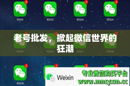 老号批发，掀起微信世界的狂潮