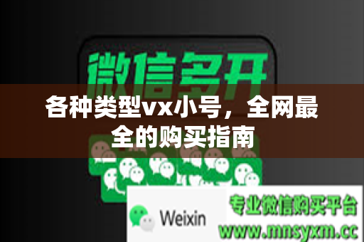 各种类型vx小号，全网最全的购买指南