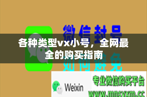各种类型vx小号，全网最全的购买指南
