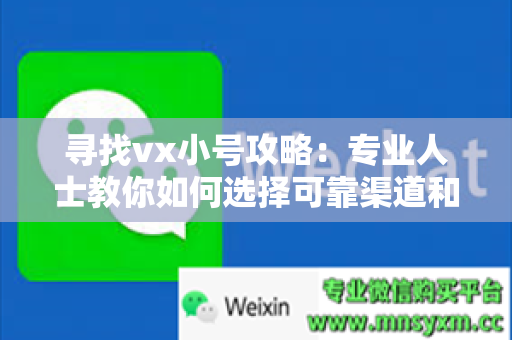 寻找vx小号攻略：专业人士教你如何选择可靠渠道和交流技巧