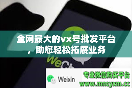 全网最大的vx号批发平台，助您轻松拓展业务