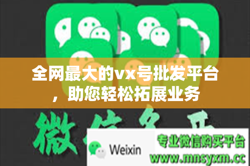 全网最大的vx号批发平台，助您轻松拓展业务