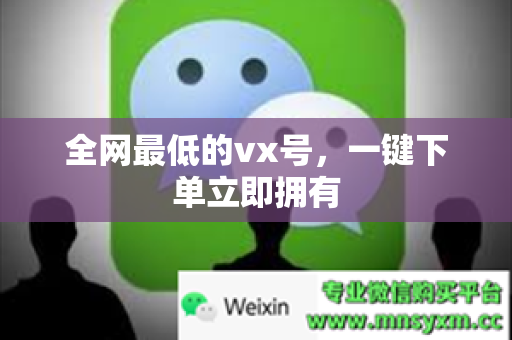全网最低的vx号，一键下单立即拥有