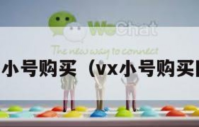vx小号购买（vx小号购买网）