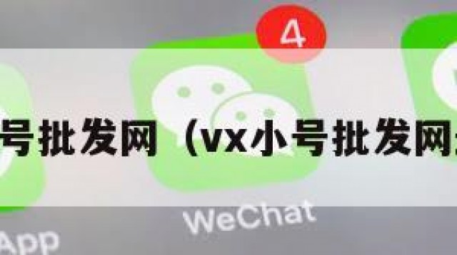 vx小号批发网（vx小号批发网最新）