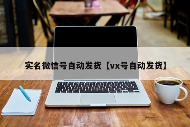 实名微信号自动发货【vx号自动发货】