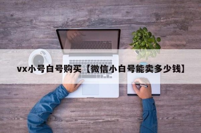 vx小号白号购买【微信小白号能卖多少钱】