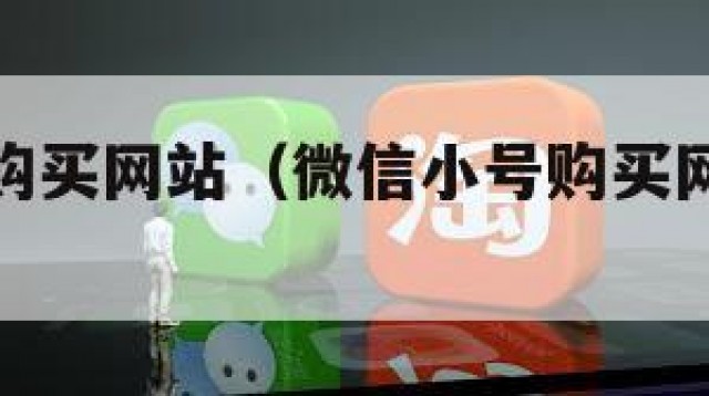 微信小号购买网站（微信小号购买网站是什么）