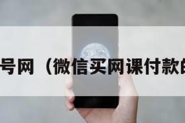 微信买号网（微信买网课付款的截图）