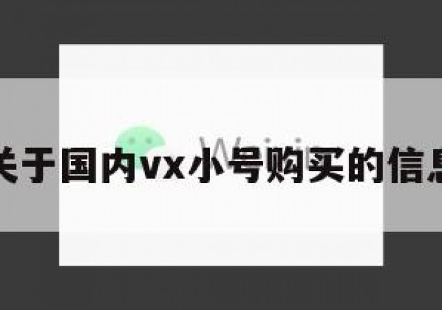 关于国内vx小号购买的信息